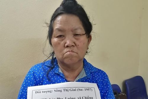 Bắt giữ đối tượng tàng trữ chất ma túy