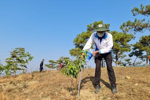 Thành Đoàn Đà Lạt phát động Tháng Thanh niên năm 2021