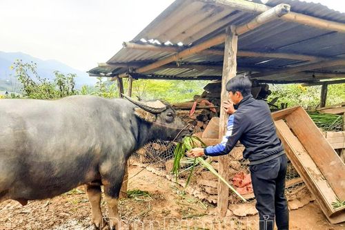 Hội Nông dân Mường Nhé xây dựng tổ chức Hội vững mạnh