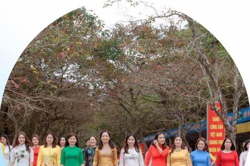 Hội LHPN Thanh Hóa triển khai Chương trình 'Vì nụ cười Phụ nữ'