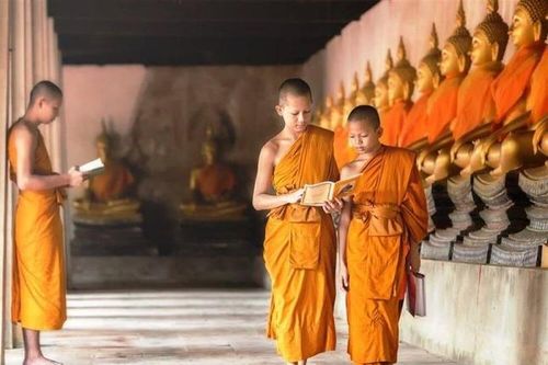 Chiêm nghiệm thực tế từ kinh luận