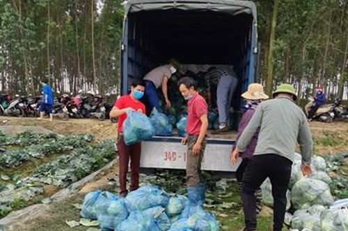 Những chuyến xe thiện nguyện trong vùng dịch