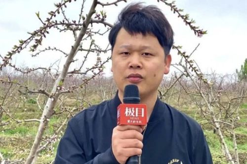 Chàng trai 'ế thâm niên' gửi lời đề nghị lạ đến chính quyền