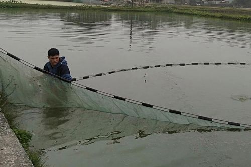 Đảng bộ xã Vạn Thiện lãnh đạo phát triển kinh tế, xây dựng nông thôn mới