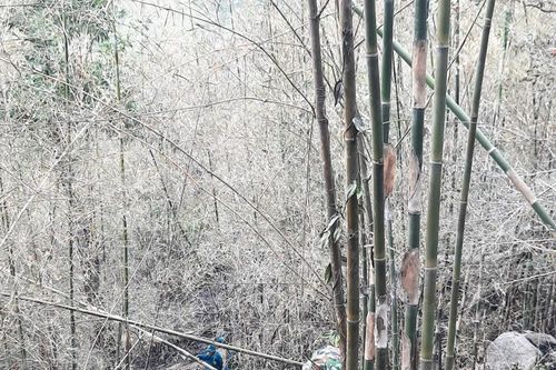 Cán bộ, chiến sĩ Trung đoàn 892 giúp dân chữa cháy rừng