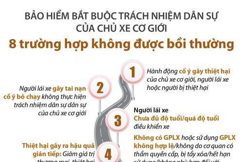 Infographics: 8 trường hợp không được bồi thường