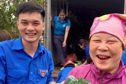 Gần 500 tấn rau xanh của nông dân Nghệ An được 'giải cứu'