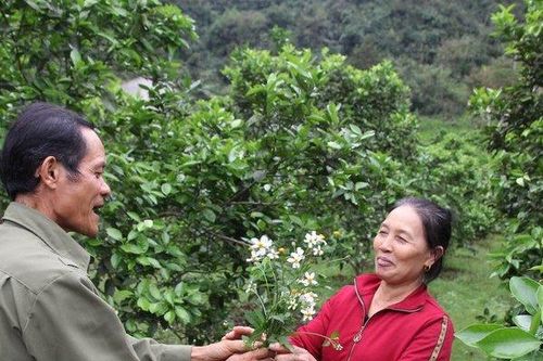 Món quà bất ngờ tặng người phụ nữ nghị lực nuôi 4 con chờ chồng ra tù