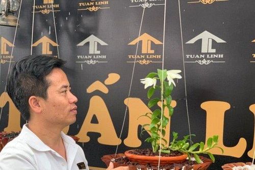 Bí quyết thành công của ông chủ vườn lan Tuấn Linh