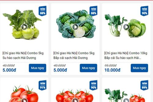 Bắp cải, cà chua 1 nghìn đồng/kg, ship tận bếp chỉ 9 nghìn đồng