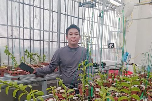 Hành trình gây dựng vườn lan của chàng trai 8X Vũ Hoàng Anh giữa Hà Nội
