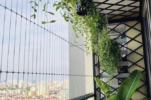 Lắp lưới bảo hộ chung cư: Cách nào cho an toàn?