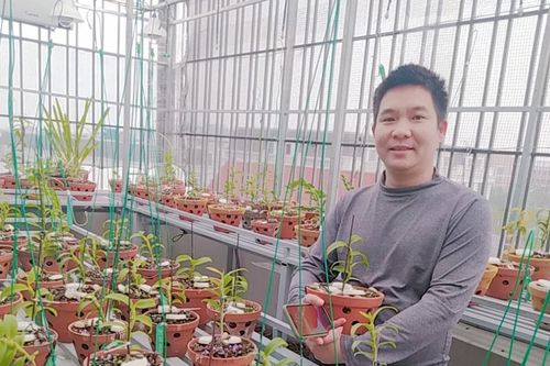 Hành trình gây dựng vườn lan giữa Hà Nội của chàng 8X Vũ Hoàng Anh