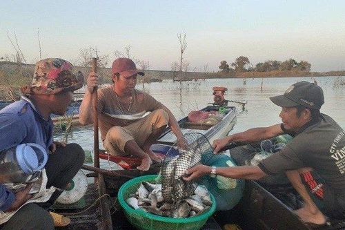 Giấc mơ no đủ từ làng chài trên Cao Nguyên
