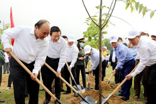 Thủ tướng dự lễ hưởng ứng chương trình trồng 1 tỷ cây xanh
