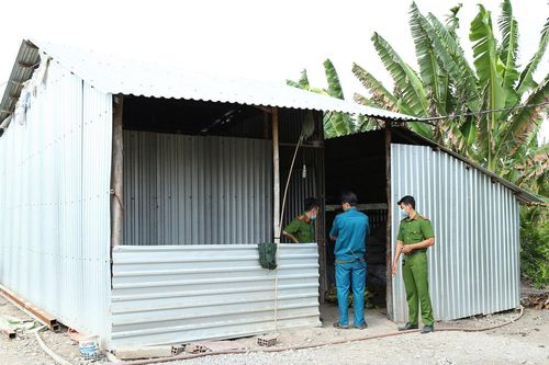 Điều tra vụ án mạng khiến một người đàn ông tử vong trong chòi lá