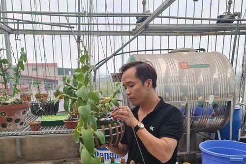 Nghệ nhân Trương Cường hướng dẫn cách trồng lan thành công