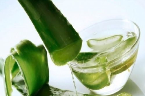 Mách bạn cách chữa nám da cực hiệu quả bằng nha đam, dầu dừa