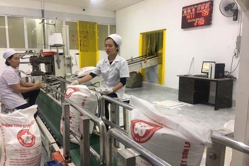 Ngành mía đường sớm hồi phục?
