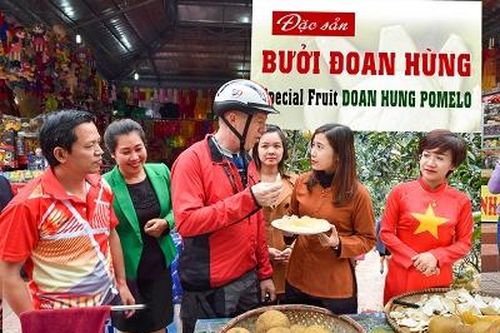 'Bưởi tiến vua' tìm đường sang Nhật