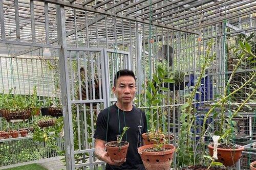 Nghệ nhân Nguyễn Đăng Thỏa chia sẻ bí quyết thành công trong việc trồng lan