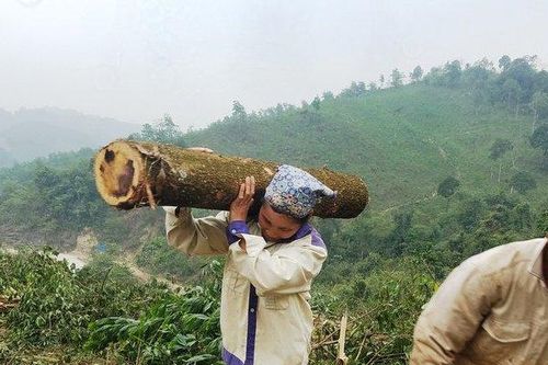 Phận đời nữ 'phu keo'!