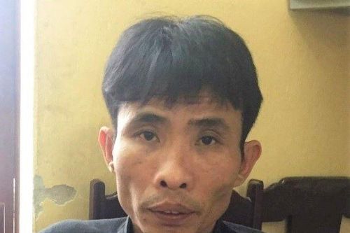 Thanh Hóa: Mua phải cao hổ giả, bắt người bán đưa 500 triệu đồng