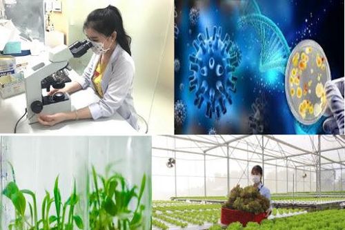 Nâng cao tiềm lực công nghiệp sinh học ngành nông nghiệp