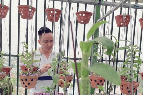 Ông chủ vườn lan 8X Tịnh Thắng: Người chơi lan thành công từ sự tình cờ