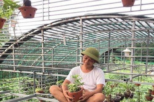 Thầy giáo Tuấn Bùi chia sẻ bí quyết trồng loài hoa vương giả