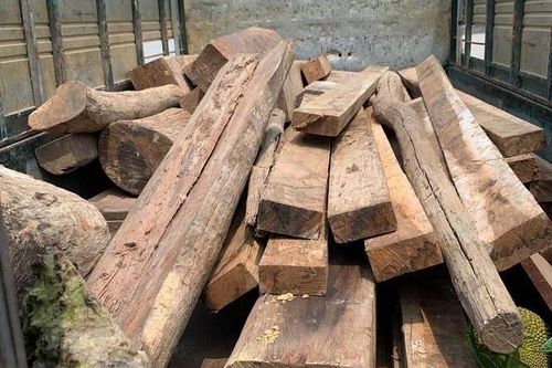 Bắt ô tô vận chuyển số lượng lớn gỗ hương lậu