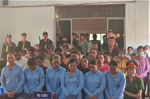 Tuyên án 41 đối tượng đóng giả cô dâu, chú rể đặt tiệc lừa đảo