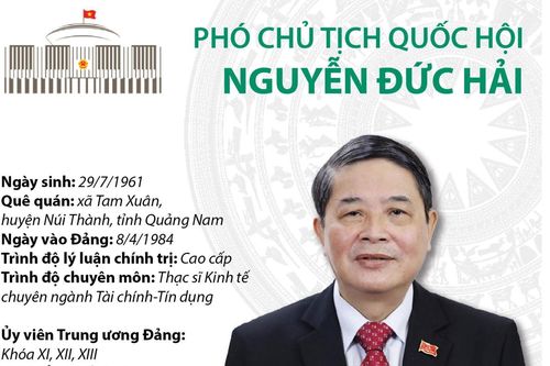 Phó Chủ tịch Quốc hội Nguyễn Đức Hải