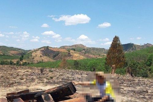 Kon Tum: Máu rừng vẫn chảy