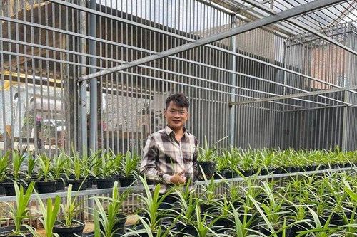 Ông chủ 8X Đàm Rồng Nghệ khởi nghiệp đầy gian nan với lan rừng