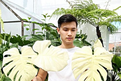 Thú chơi xa xỉ nhà giàu Việt: Chi trăm tỷ mua… 1 chiếc lá