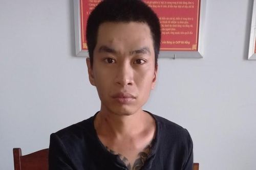 'Ngựa quen đường cũ'