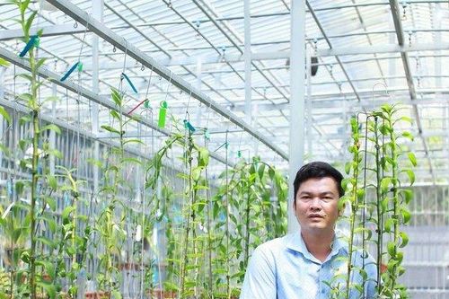 Nghệ nhân Dần Ngô và tình yêu với hoa phong lan