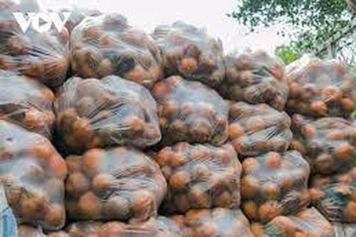 Thương nhau kiểu đó bằng mười hại nhau