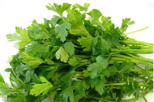 Những người tuyệt đối không được ăn rau mùi