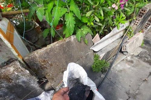 Than 'thổ phỉ' Quảng Nam - Kỳ 3: Đi tìm lời giải