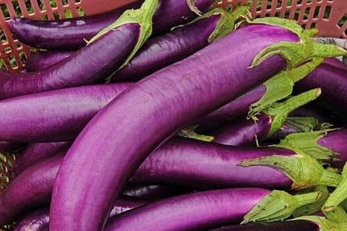 Những người tuyệt đối không nên ăn cà tím