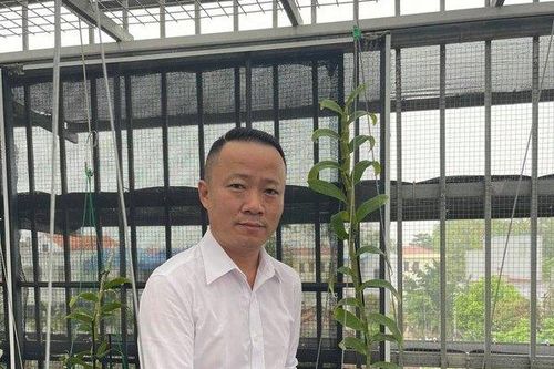 Ông chủ vườn lan Mạnh Quỳnh chia sẻ bí quyết chinh phục loài hoa vương giả