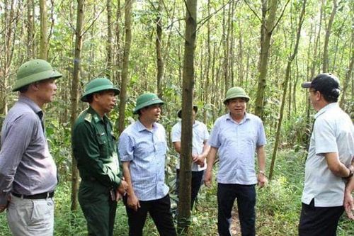 Quảng Bình: Đẩy nhanh tiến độ GPMB khu tái định cư cho người dân vùng sạt lở đất