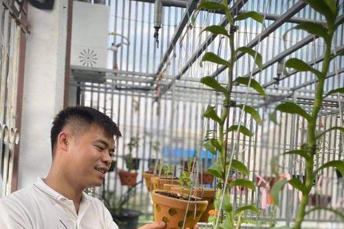 Chàng trai trồng lan đột biến khó chăm hiếm tìm ở Thái Nguyên