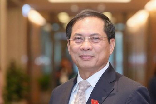 Chân dung tân Bộ trưởng Ngoại giao Bùi Thanh Sơn