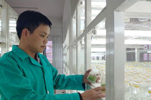 Nhà khoa học trẻ 2 năm liên tiếp được đề cử Giải thưởng Tạ Quang Bửu