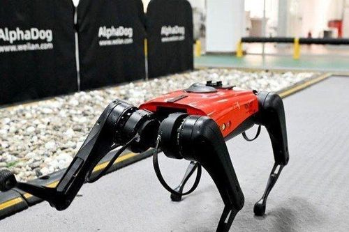 Công ty công nghệ Trung Quốc phát triển chó săn robot