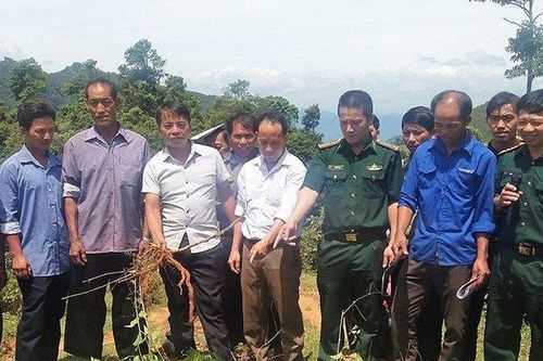 Thay đổi nhận thức, ngăn chặn học sinh kết thúc cuộc đời bằng lá ngón