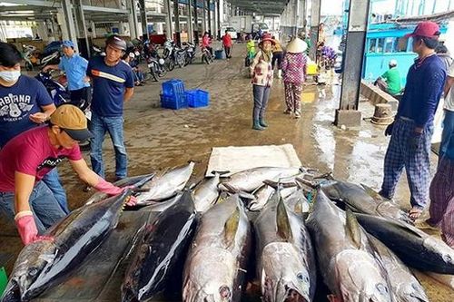 Cùng ngư dân tìm giải pháp gỡ thẻ vàng EC